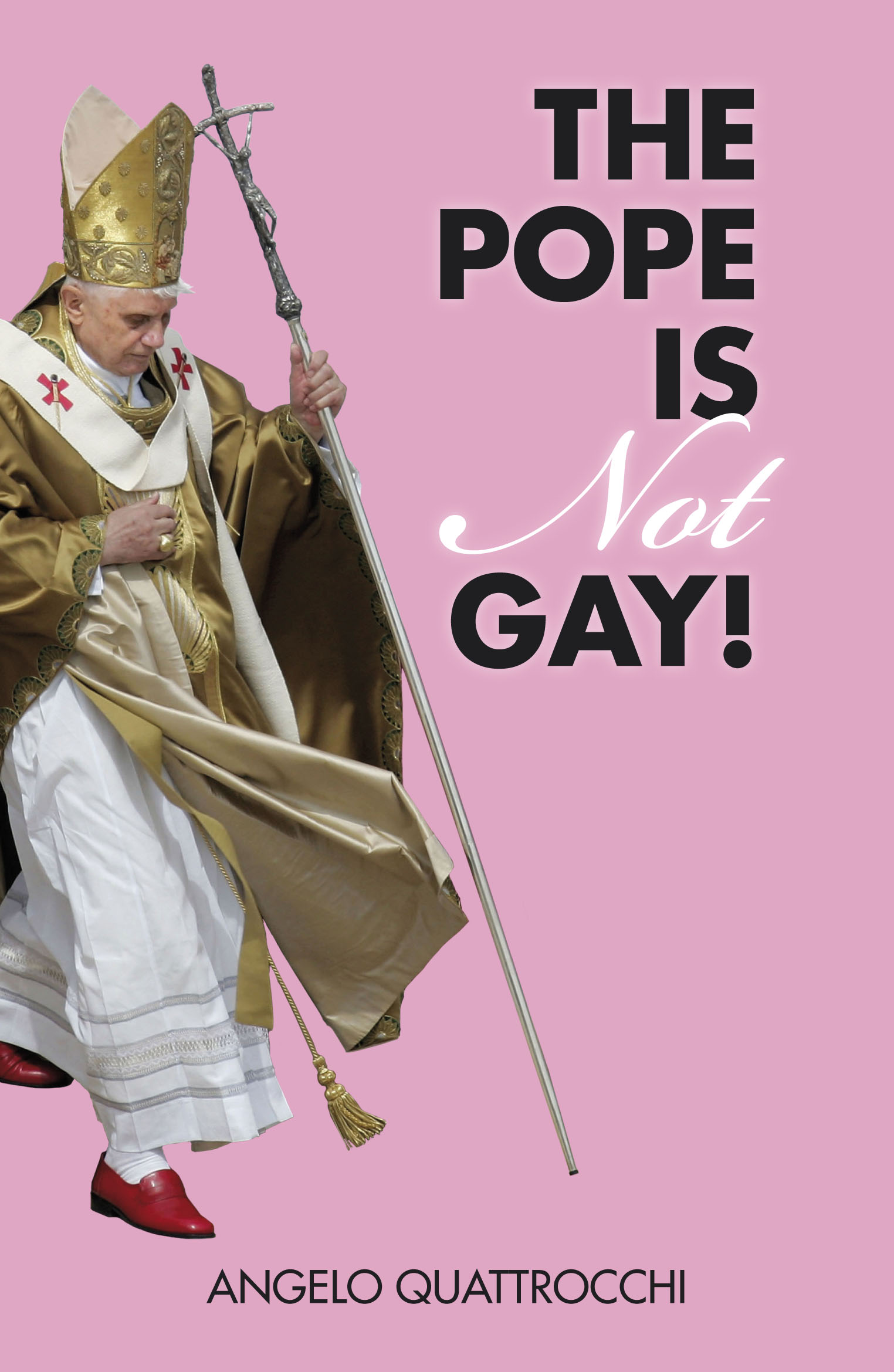 Pope Is Gay 47